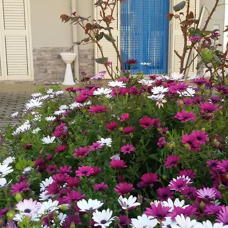 Holiday home La Conchiglia Menfi